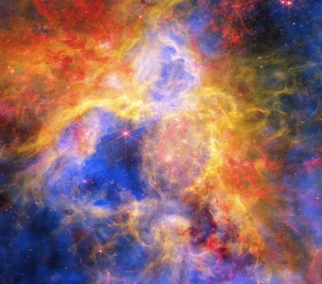 NASA望远镜揭示蜘蛛星云多彩结构 图片