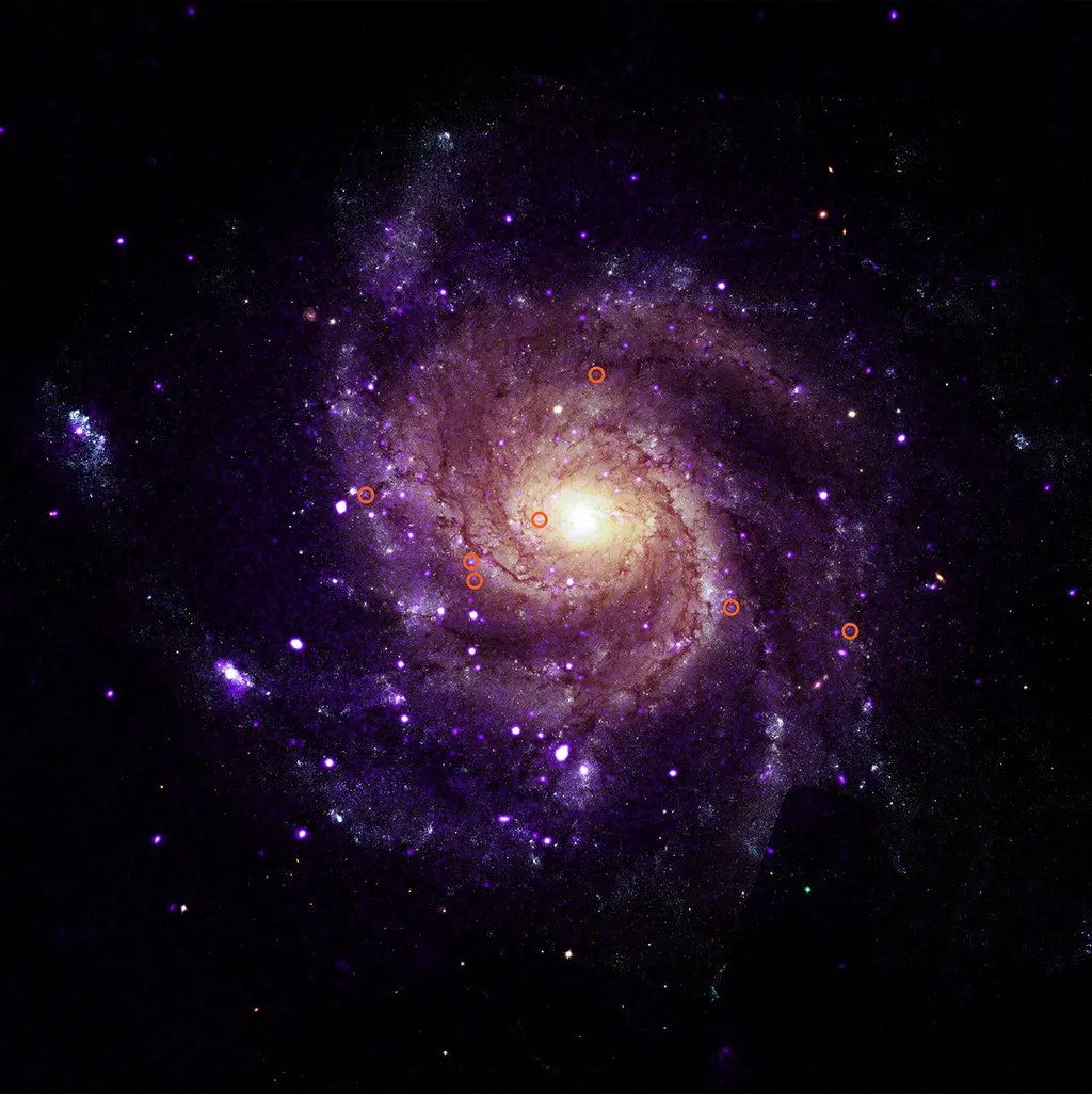 NASA钱德拉X射线天文台发现神秘天体 图片