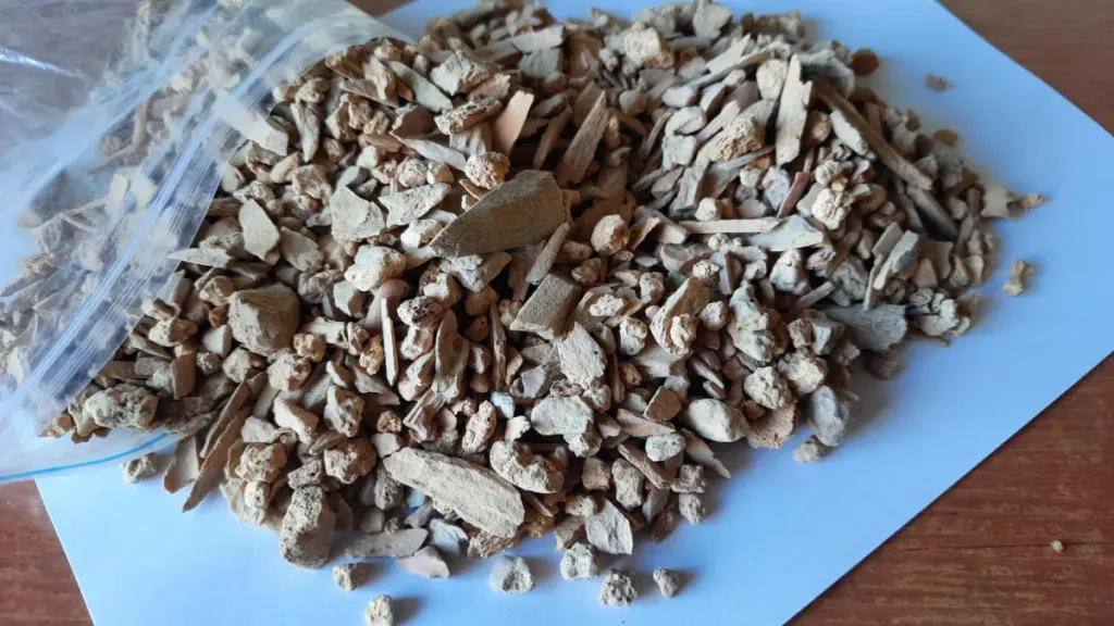 西伯利亚洞穴发现已灭绝冰期牛科新物种 图片