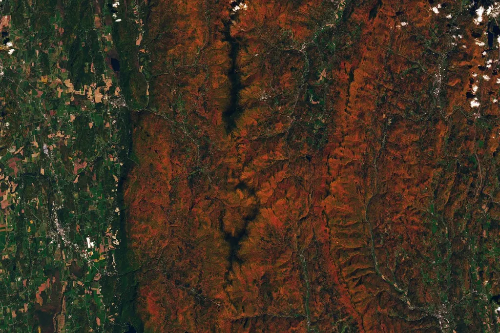 用卫星「狩红叶」：NASA PACE追踪秋色变化 图片