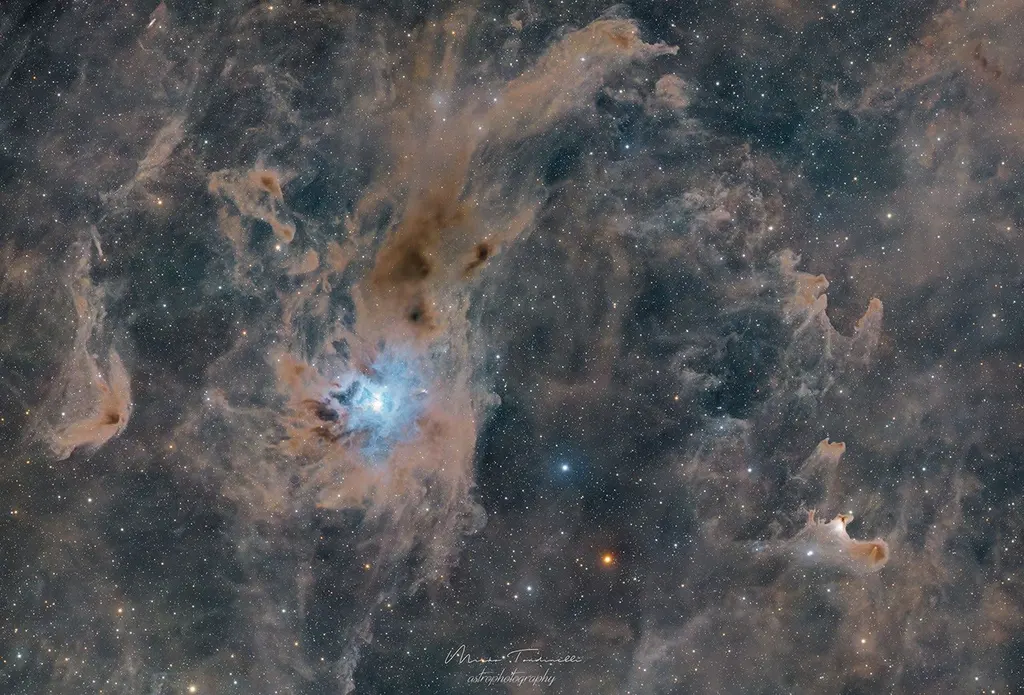 NASA 每日天文图：仙王座星云的诡异身影 图片